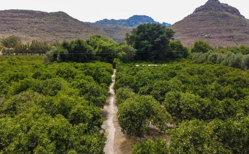 7 Bedroom Property for Sale in Clanwilliam Western Cape
